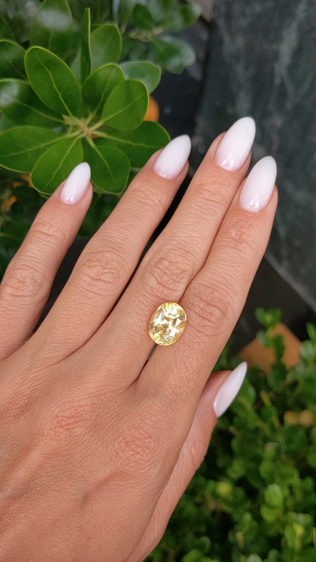5.76 Ct. Yellow Sapphire from Ceylon (Sri Lanka) Size Video